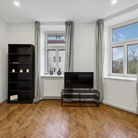 Big Spacious Central Apartment In Vienna-2