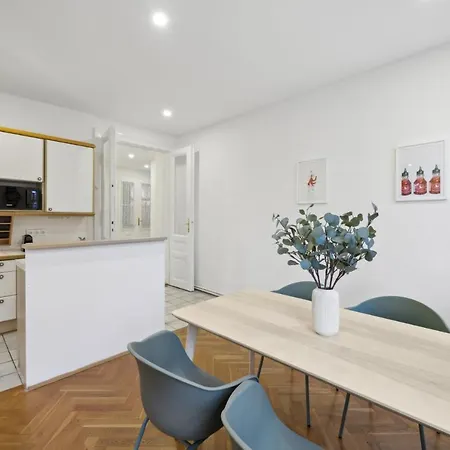 Big Spacious Central Apartment In Vienna-3